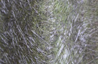 Chickenley fibreglass roof work